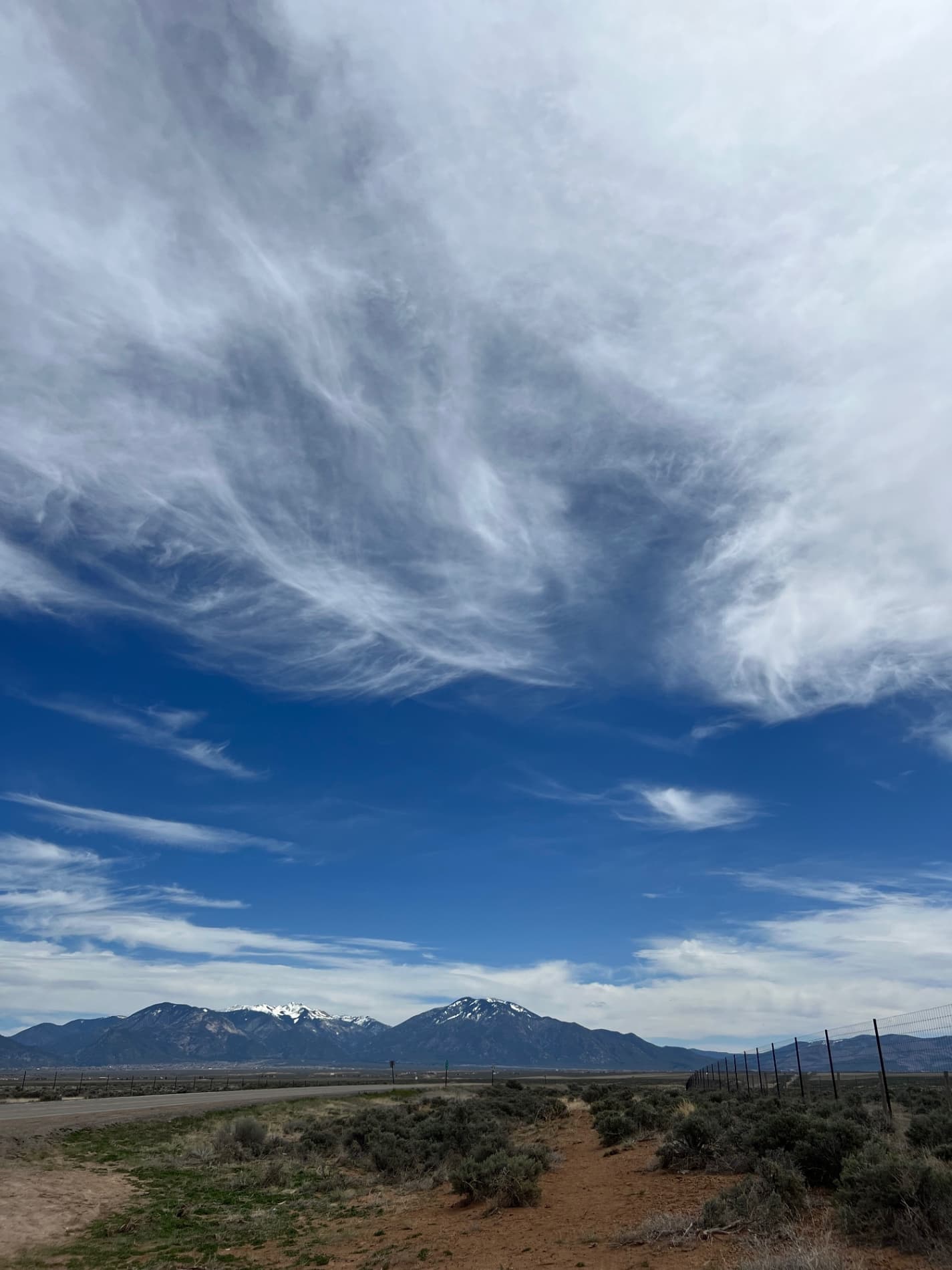 taos
